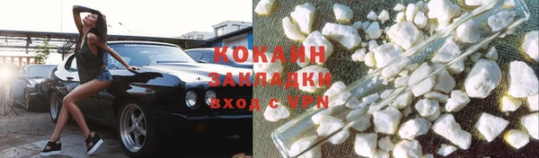 прущие грибы Новокубанск