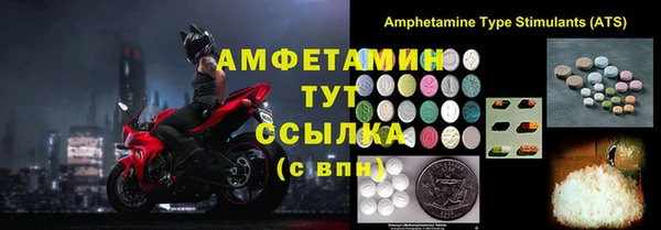 прущие грибы Новокубанск