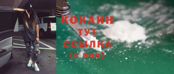 прущие грибы Новокубанск