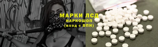 стафф Новодвинск