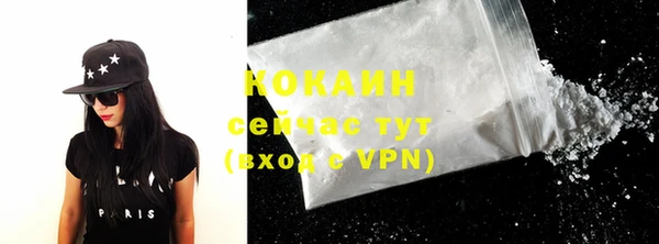 мдпв Новозыбков