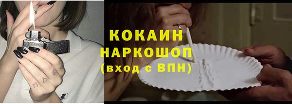 прущие грибы Новокубанск