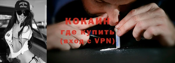мдпв Новозыбков