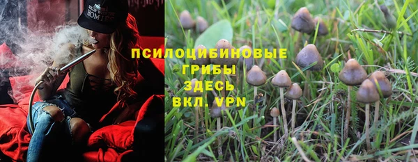 мдпв Новозыбков