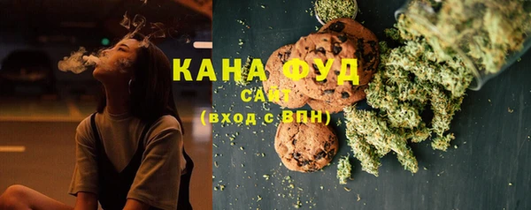 мдпв Новозыбков