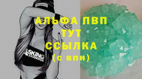 стафф Новодвинск