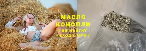 мдпв Новозыбков
