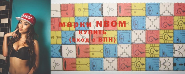 стафф Новодвинск